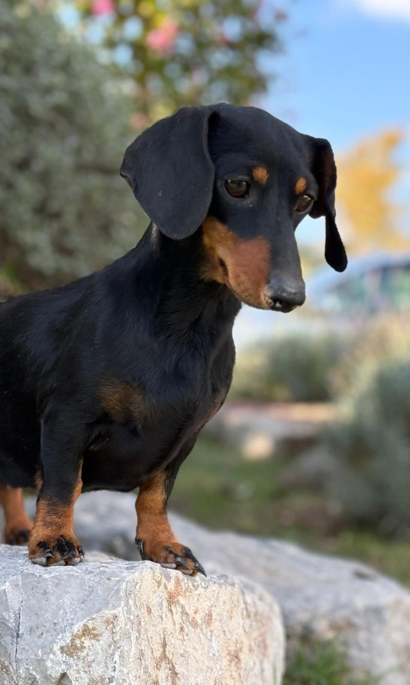 Vicky de Terre Indigo